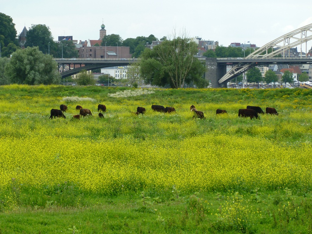 Nijmegen