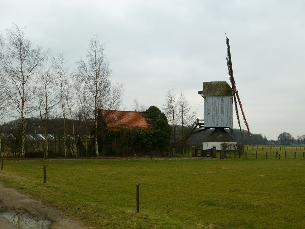 Molen bij Noorderwijk
