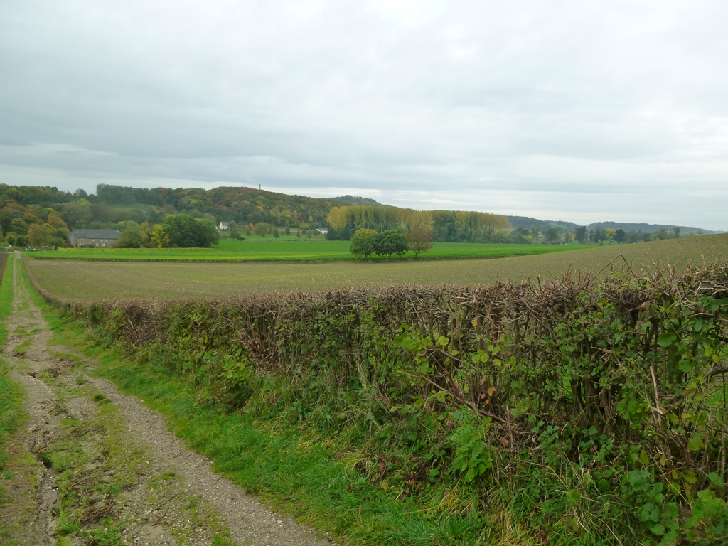 Wijngaarden bij Maastricht