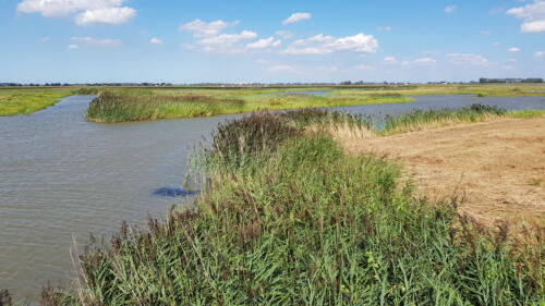 Noordwaard
