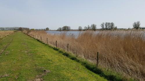 Steenbergsche Vliet
