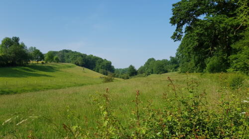 Gerendal