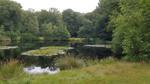 Emmen