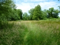 Gammelkerveld