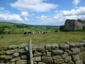Danby