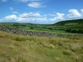 Danby