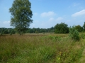 Nationaal Park De Meinweg