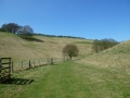 Thixendale