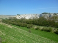 Fairy Dale