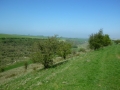 Deep Dale