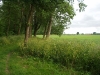 Grote Rivierenpad