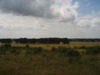 Trekvogelpad