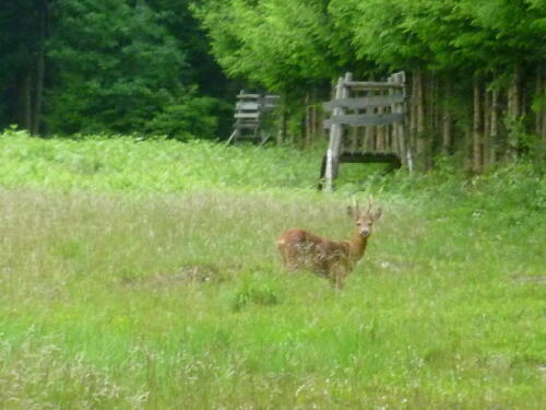 Oignies-en-Thiérache
