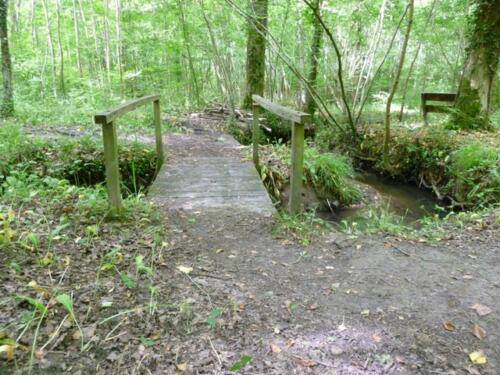 Forêt Domaine de Signy-l\'Abbaye