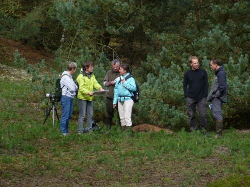 Kalmthoutse Heide