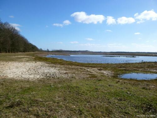 Loonse Heide
