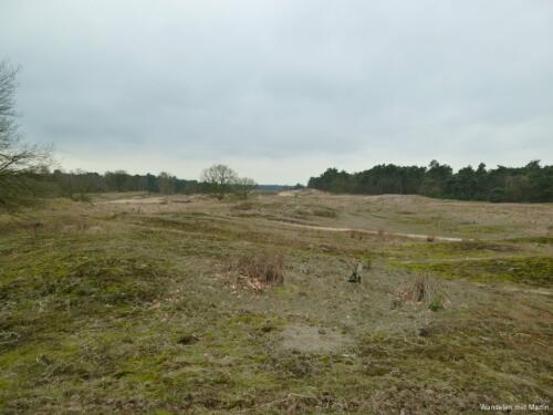 Drunense Duinen