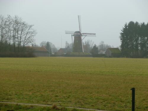 Windmolen Pulderbos