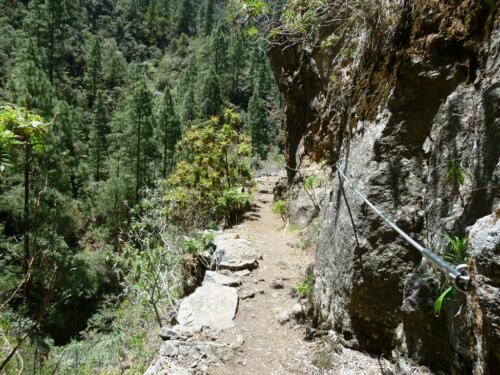 Tenerife - Los Organos