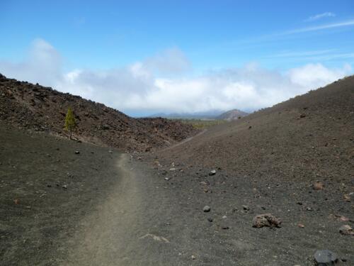 Tenerife: Montaña de la Botija