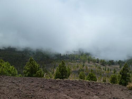 Tenerife: Montaña de la Botija