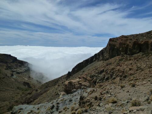 Tenerife: Guajara