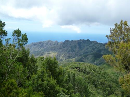 Tenerife: Chinobre