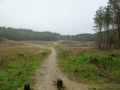 Utrechtse Heuvelrug