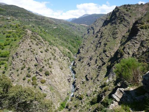 Andalusië - Ferreirola
