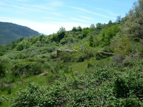 Andalusië - Pampaneira
