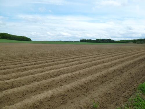 Scherpenheuvel