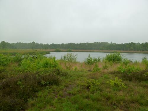 Genkerheide