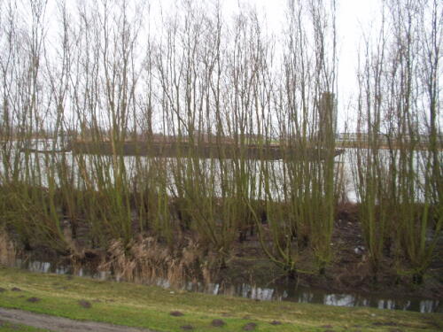 Duwboot op de Oude Maas