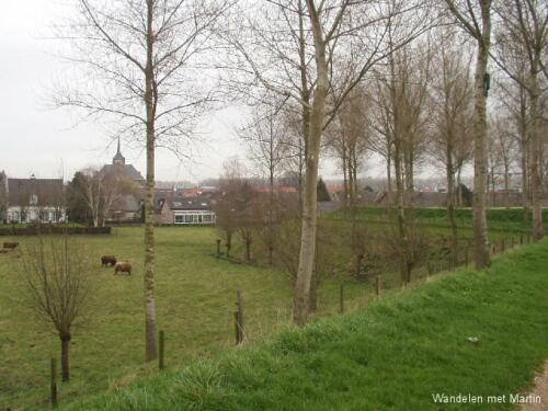 Sluis