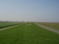 Waddenzeedijk