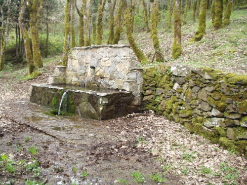 Sardinië: Monte Rasu