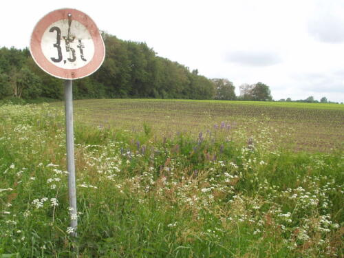 Bentheim
