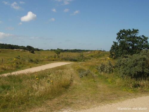 Duingebied (Renesse)
