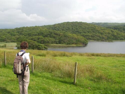 Connel and the Black Lochs