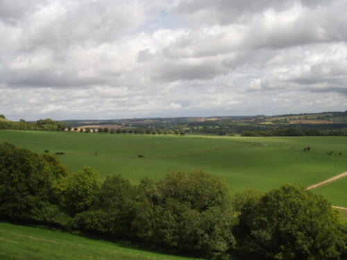 South Downs Way