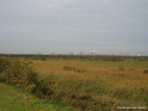 Groene Strand (Oostvoorne)